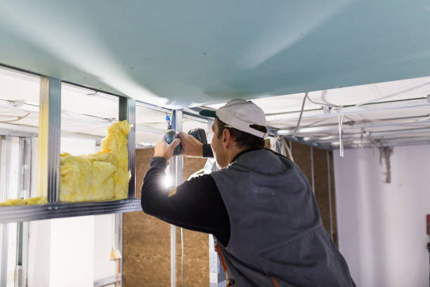 Best Wall Insulation Contractor  in Landing, NJ