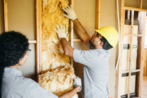 Best Insulation Removal  in Landing, NJ